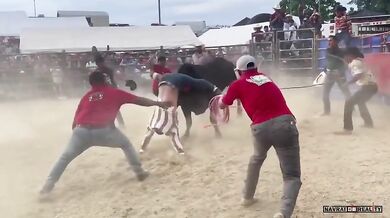 Člověk vs. býk #155