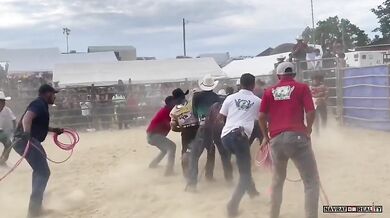 Člověk vs. býk #155