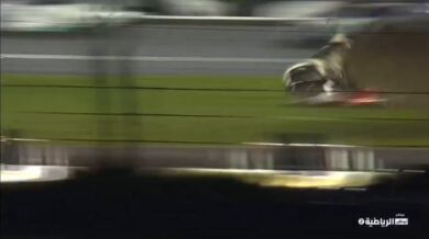 Nehoda při NASCAR závodu #2