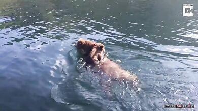 Medvědice vs. jezero