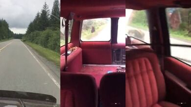 Setkání s medvědem #25