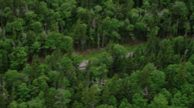 Travis Pastrana - Mt. Washington Hillclimb 2017 (2 videa)