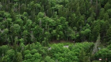 Travis Pastrana - Mt. Washington Hillclimb 2017 (2 videa)