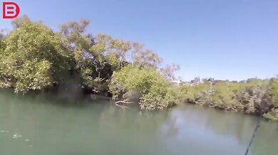 Překvapení na rybách