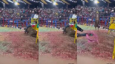 Člověk vs. býk #164