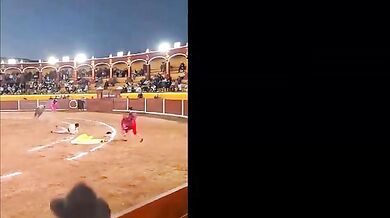 Člověk vs. býk #167