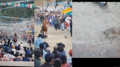 Muž zemřel po srážce s koněm