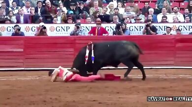 Člověk vs. býk #168