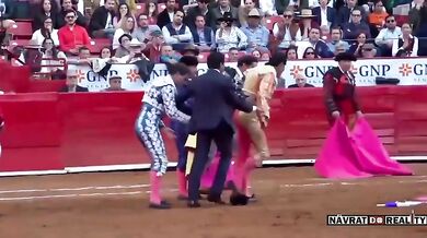 Člověk vs. býk #168