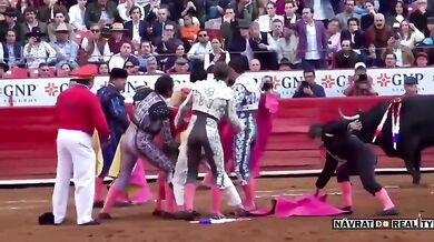 Člověk vs. býk #168