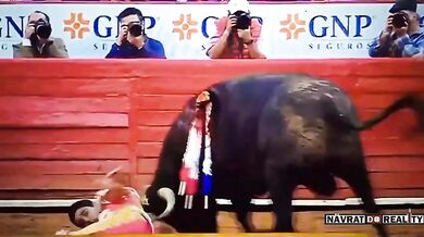 Člověk vs. býk #168