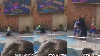 Napadení medvědem #3