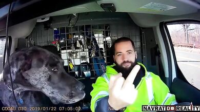 Policista dal řidiči pěstí kvůli troubení