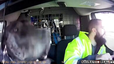 Policista dal řidiči pěstí kvůli troubení