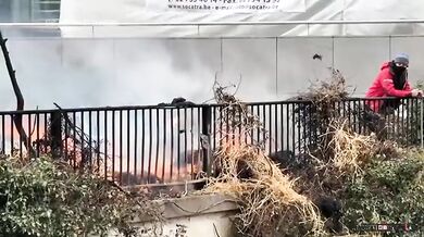 Protestující zemědělci v Belgii