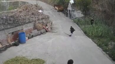 Životní lekce pro dítě