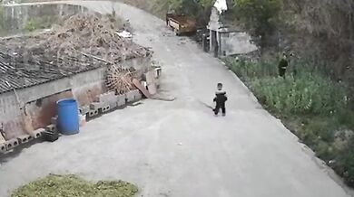 Životní lekce pro dítě