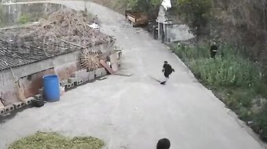 Životní lekce pro dítě