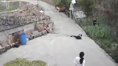 Životní lekce pro dítě