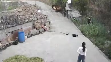 Životní lekce pro dítě