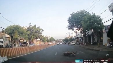 Zasažená skútrařka