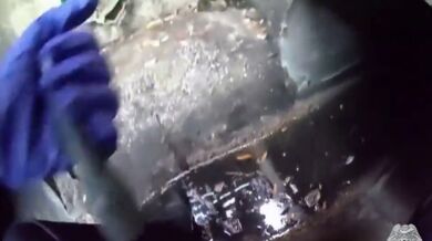 Záchrana zvířete #3