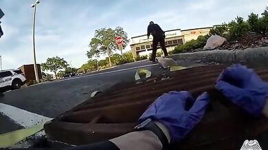 Záchrana zvířete #3