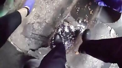 Záchrana zvířete #3