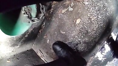 Záchrana zvířete #3