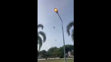 Srážka dvou vrtulníků