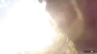 Srážka se zvířetem