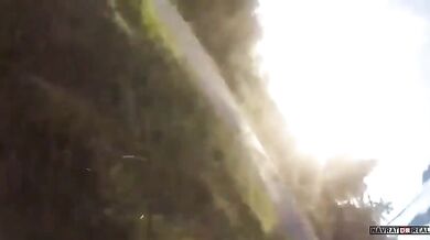 Srážka se zvířetem