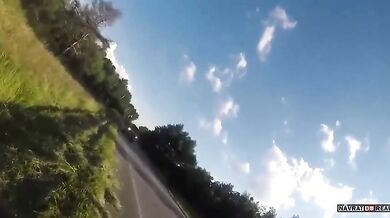 Srážka se zvířetem