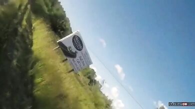 Srážka se zvířetem