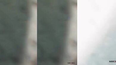 Setkání s velrybou