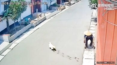 Procházka po čerstvě položeném betonu