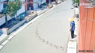 Procházka po čerstvě položeném betonu