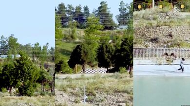 Pokus o unesení dítěte