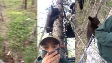 Setkání s medvědem #83