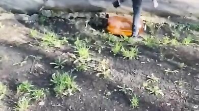 Blbnutí s nafouknutou plastovou lahví