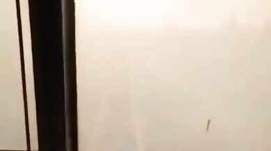 Vlak projíždějící lesním požárem