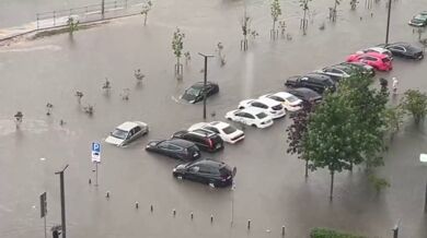 Synchronizované plavání