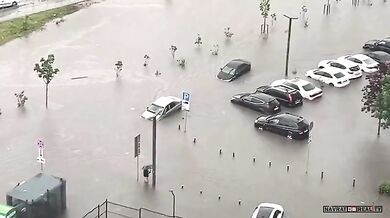 Synchronizované plavání