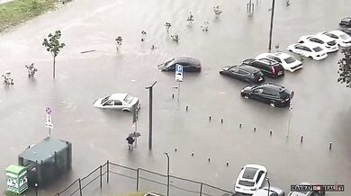 Synchronizované plavání