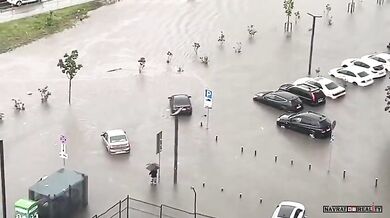 Synchronizované plavání