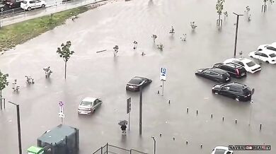 Synchronizované plavání