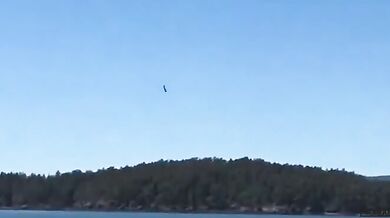 Astronaut Apollo 8 William Anders zahynul při letecké nehodě