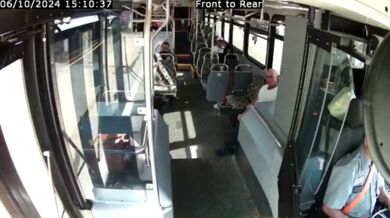 Jelen prorazil přední sklo autobusu