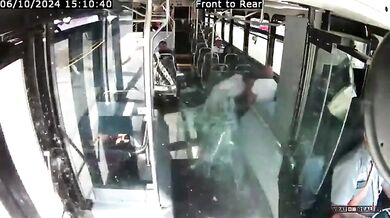 Jelen prorazil přední sklo autobusu