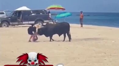Býk zaútočil na turistu na populární pláži v Mexiku